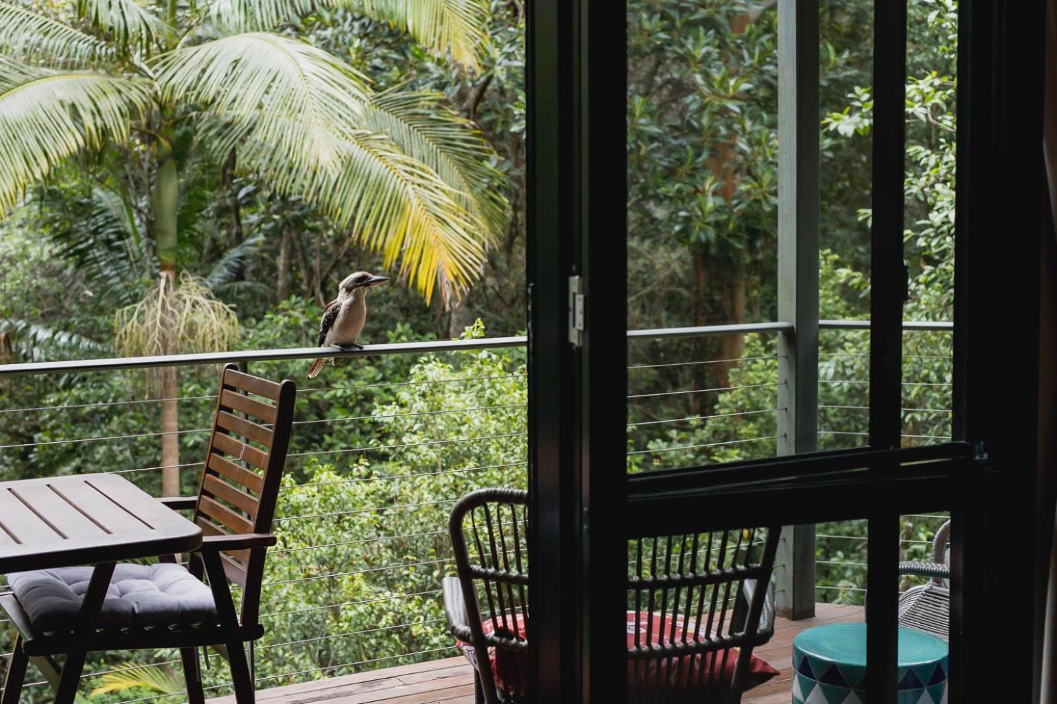 Kondalilla Eco Resort Montville Bagian luar foto