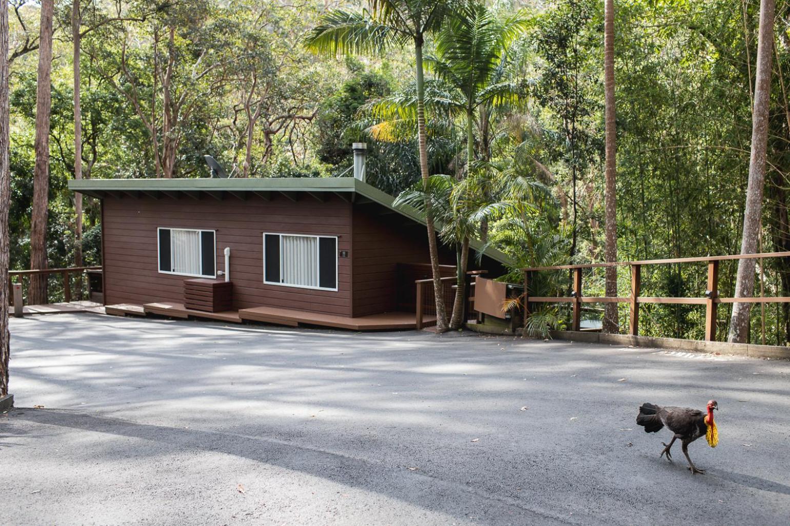 Kondalilla Eco Resort Montville Bagian luar foto