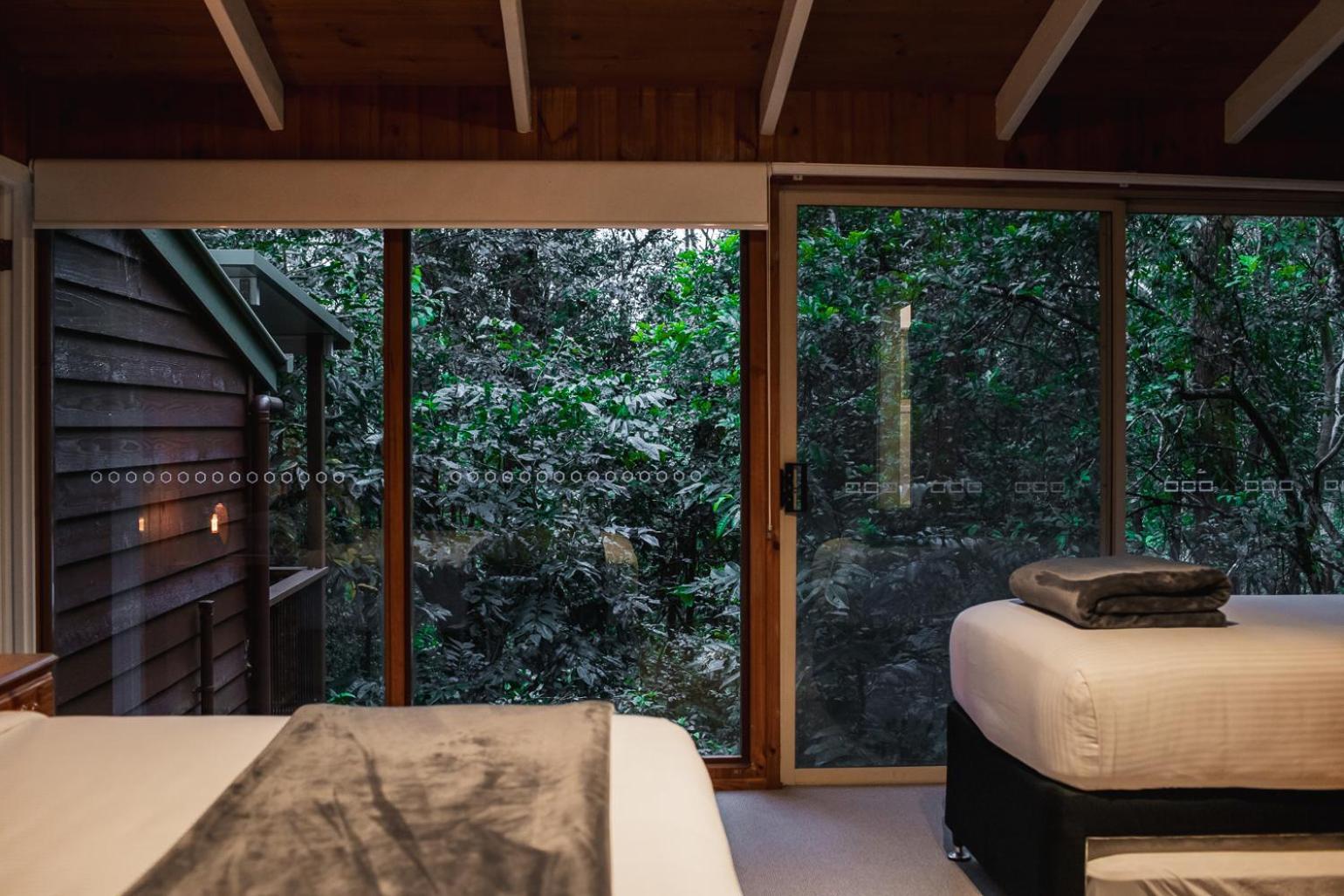 Kondalilla Eco Resort Montville Bagian luar foto