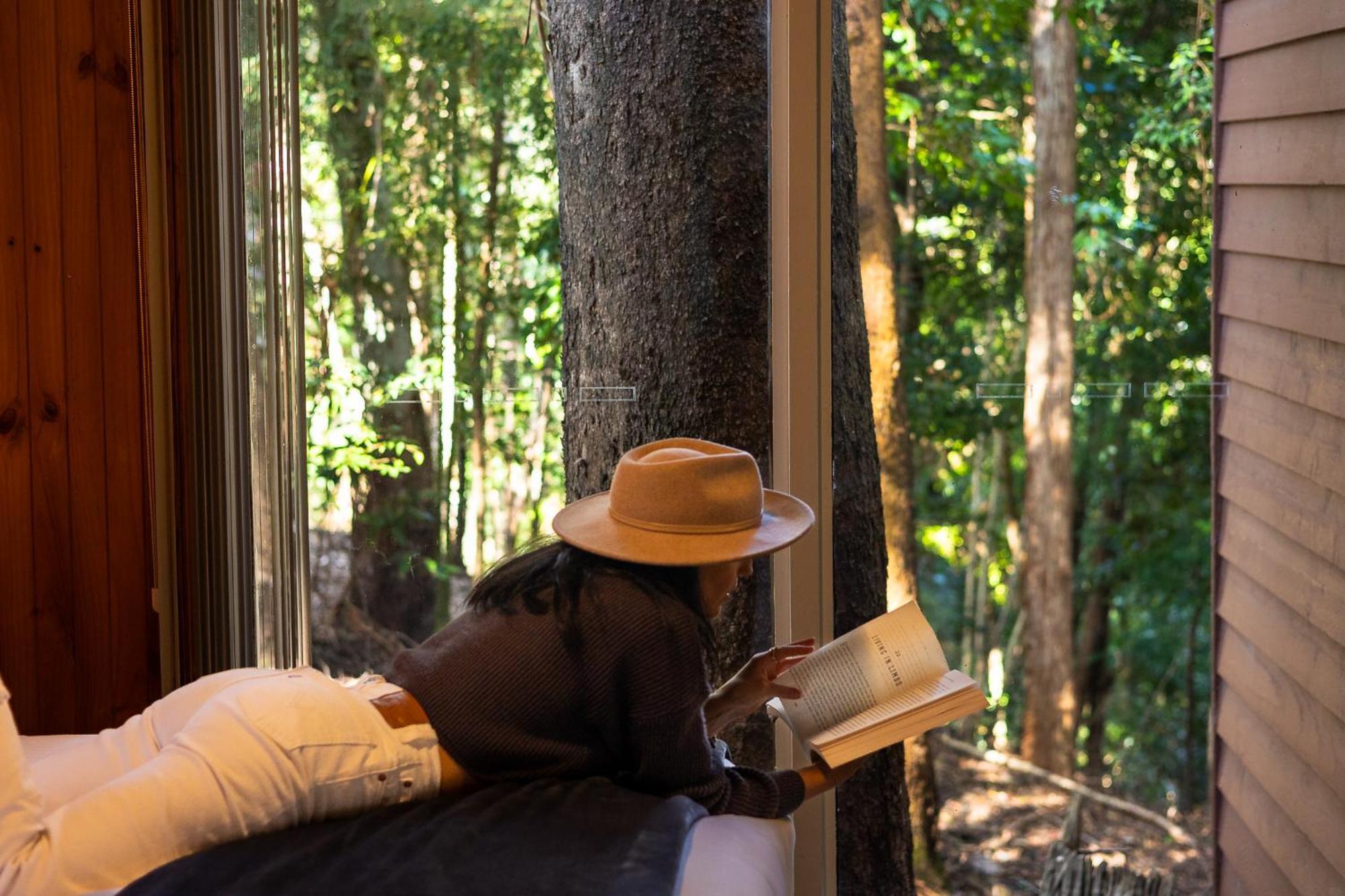 Kondalilla Eco Resort Montville Bagian luar foto