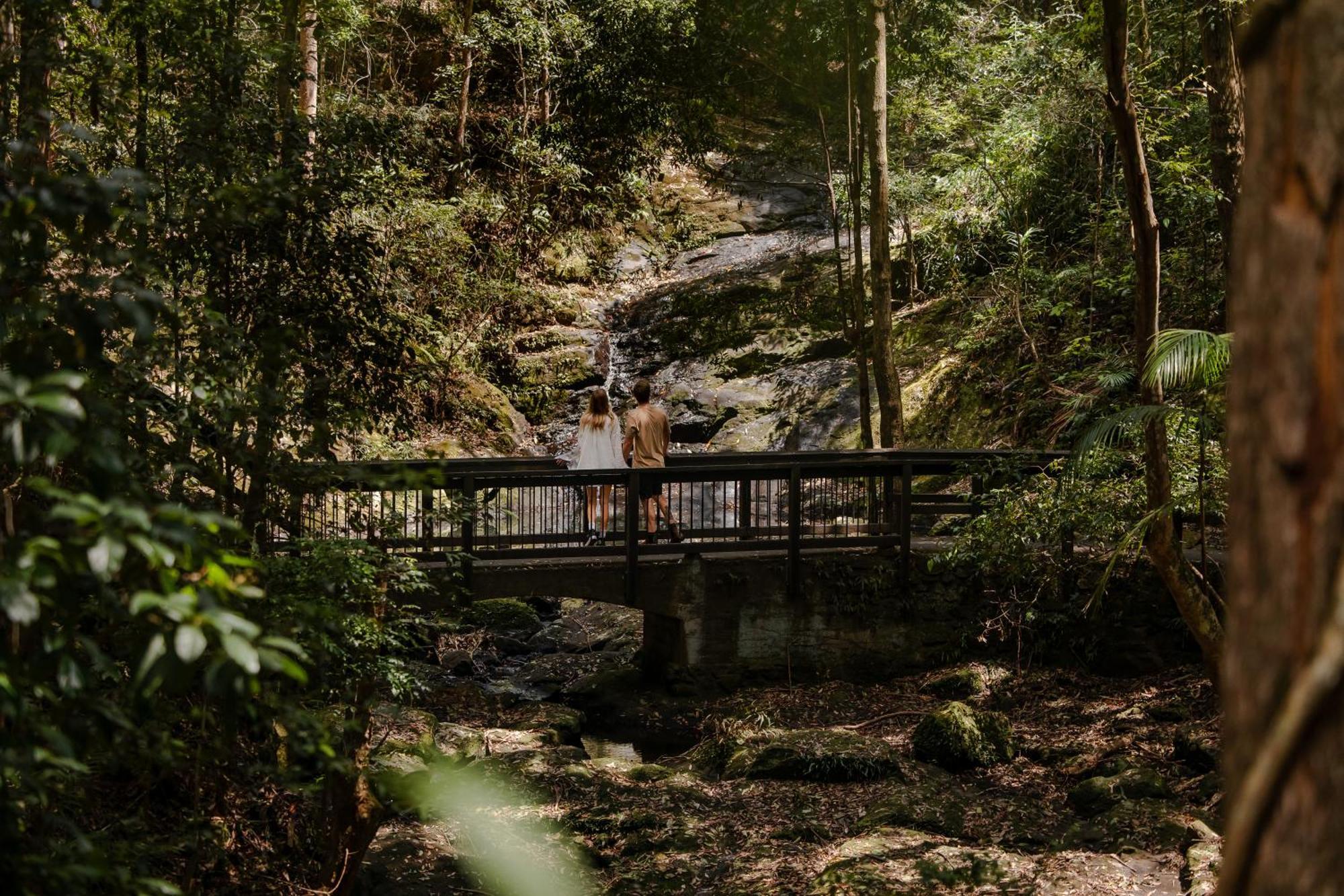 Kondalilla Eco Resort Montville Bagian luar foto